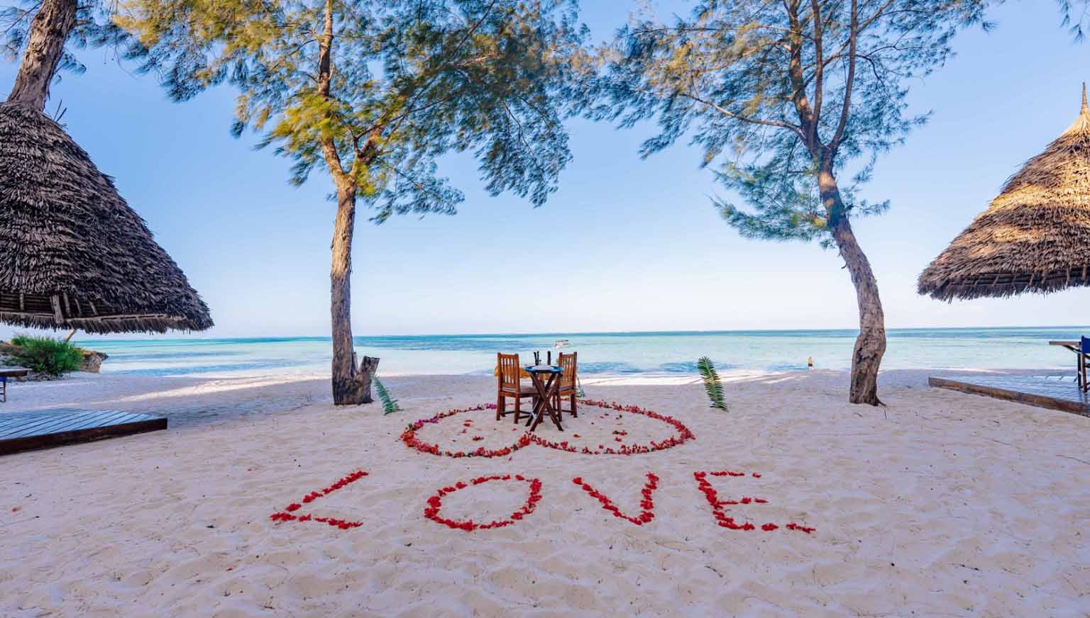 zanizbra honeymoon